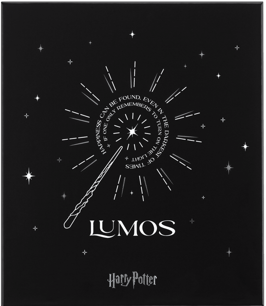 Harry potter moleskine set hotsell