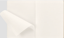 Load image into Gallery viewer, Moleskine Harry Potter Notebook