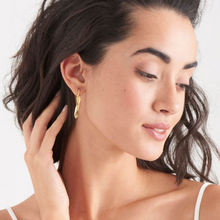 Load image into Gallery viewer, Ania Haie Gold Helix Hook Earrings
