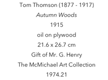 Load image into Gallery viewer, Tom Thomson Scarf-Autumn Wood