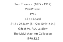 Load image into Gallery viewer, Tom Thomson Scarf- Wildflowers
