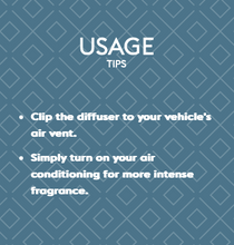 Load image into Gallery viewer, Maison Berger Car diffuser refill-Exquisite Sparkle
