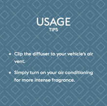 Load image into Gallery viewer, Maison Berger Car Diffuser-Anti-odour Pets