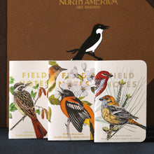 Load image into Gallery viewer, Field Notes - Birds and Trees of North America: Pack A: Screech Owl - Blue Jay - Brewer Sparrow
