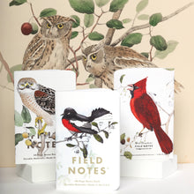 Load image into Gallery viewer, Field Notes - Birds and Trees of North America: Pack C: Redstart - Cardinal - Redshoulder Hawk
