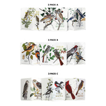 Load image into Gallery viewer, Field Notes - Birds and Trees of North America: Pack A: Screech Owl - Blue Jay - Brewer Sparrow
