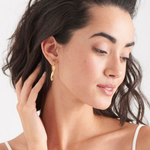 Load image into Gallery viewer, Ania Haie Gold Helix Hook Earrings
