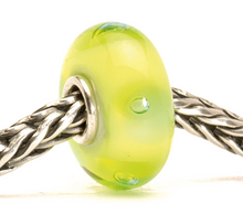 Load image into Gallery viewer, Trollbeads Peter
