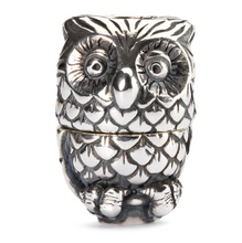 Load image into Gallery viewer, Trollbeads Night Owl
