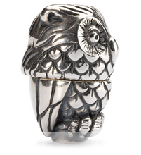 Load image into Gallery viewer, Trollbeads Night Owl
