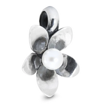 Load image into Gallery viewer, Trollbeads Anemone Spacer
