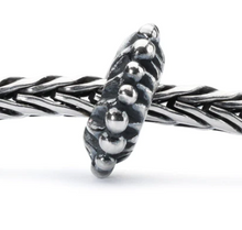 Load image into Gallery viewer, Trollbeads Vision of Light
