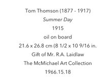 Load image into Gallery viewer, Tom Thomson Scarf-Summer Day
