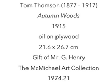 Load image into Gallery viewer, Tom Thomson Scarf-Autumn Wood
