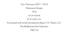 Load image into Gallery viewer, Tom Thomson Scarf-Petawawa Gorge
