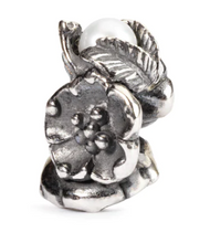 Load image into Gallery viewer, Trollbeads Buckthorn of May

