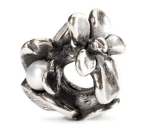 Load image into Gallery viewer, Trollbeads Violet of February
