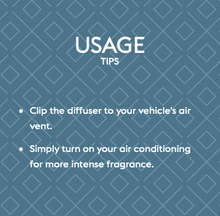 Load image into Gallery viewer, Maison Berger Car Diffuser-Energy
